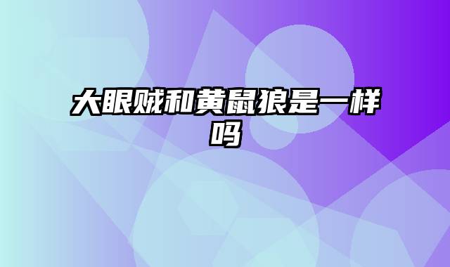 大眼贼和黄鼠狼是一样吗