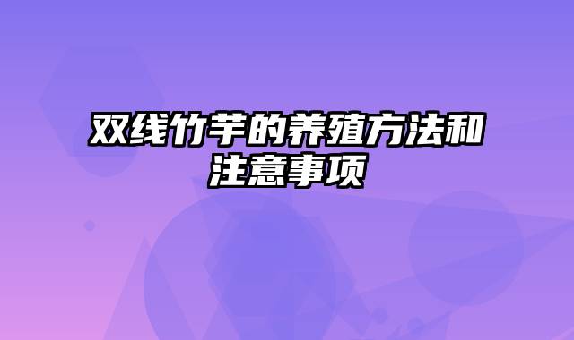 双线竹芋的养殖方法和注意事项