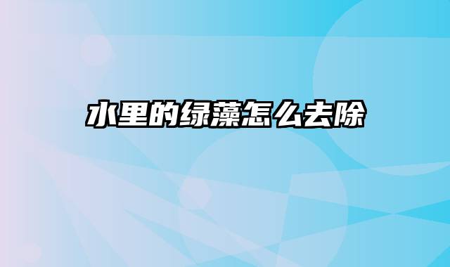 水里的绿藻怎么去除