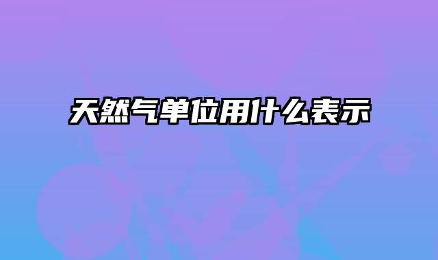 天然气单位用什么表示