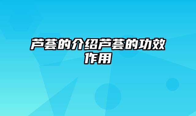 芦荟的介绍芦荟的功效作用