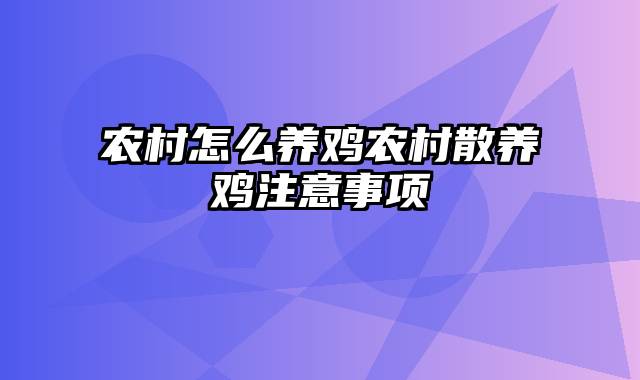 农村怎么养鸡农村散养鸡注意事项