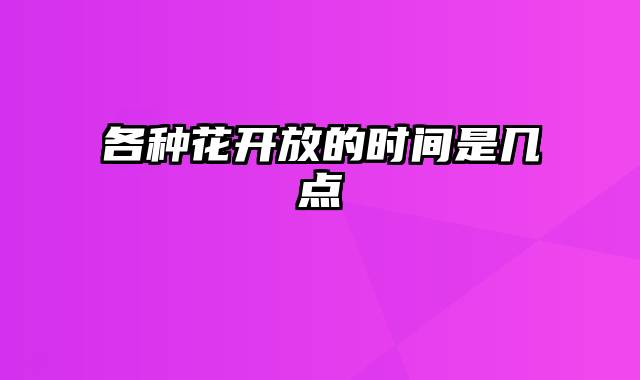 各种花开放的时间是几点