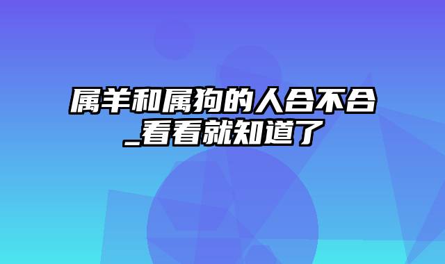 属羊和属狗的人合不合_看看就知道了