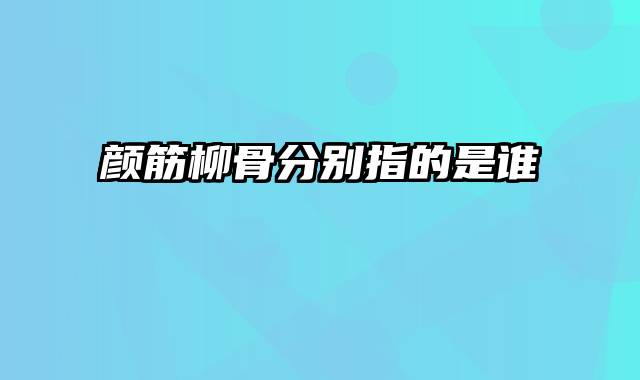 颜筋柳骨分别指的是谁