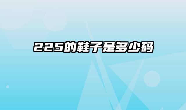 225的鞋子是多少码