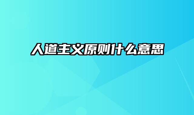 人道主义原则什么意思