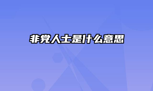 非党人士是什么意思