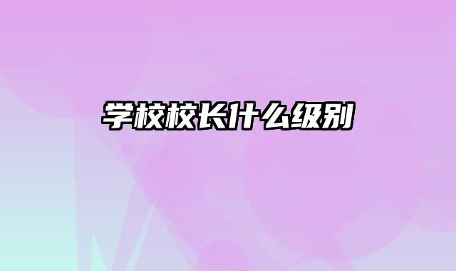 学校校长什么级别