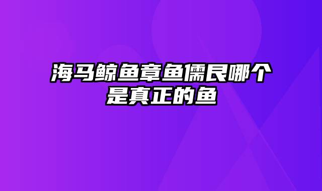 海马鲸鱼章鱼儒艮哪个是真正的鱼