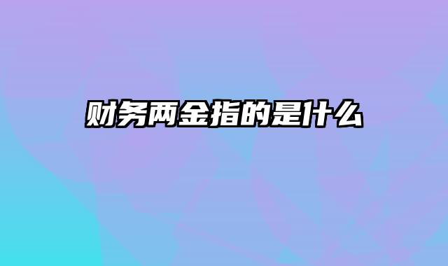 财务两金指的是什么