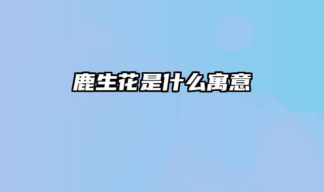 鹿生花是什么寓意