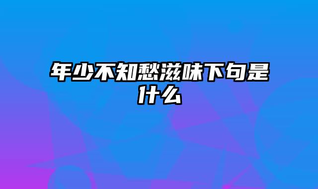 年少不知愁滋味下句是什么