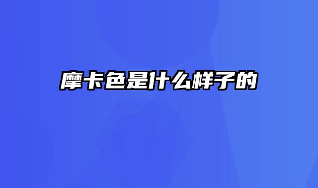 摩卡色是什么样子的