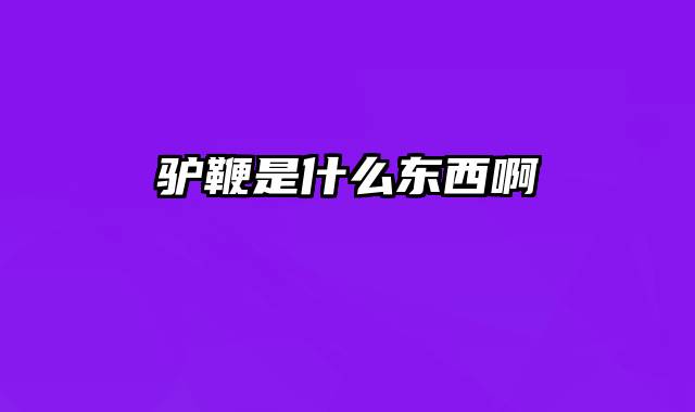 驴鞭是什么东西啊