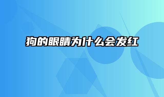 狗的眼睛为什么会发红
