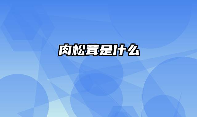 肉松茸是什么