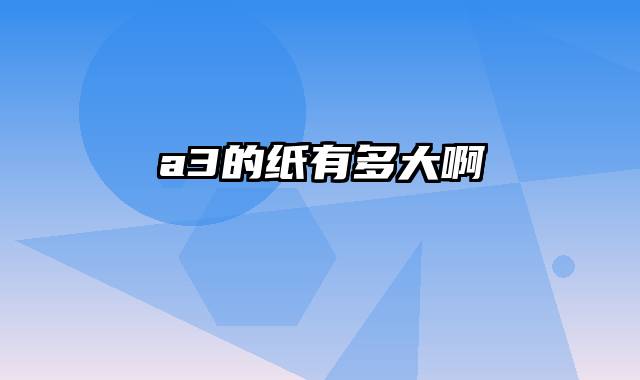 a3的纸有多大啊