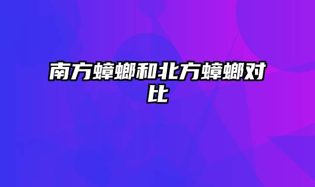 南方蟑螂和北方蟑螂对比