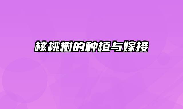 核桃树的种植与嫁接