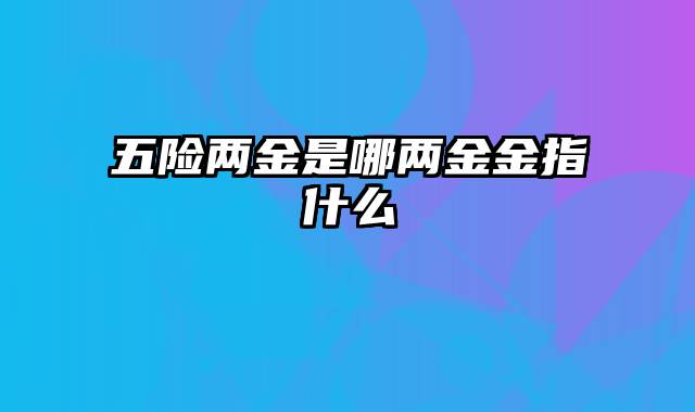 五险两金是哪两金金指什么