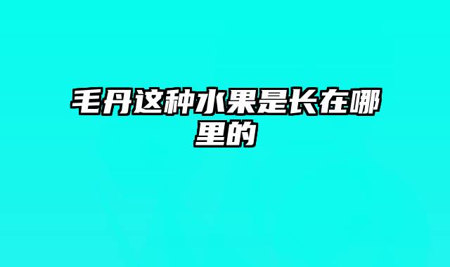 毛丹这种水果是长在哪里的