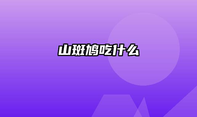 山斑鸠吃什么
