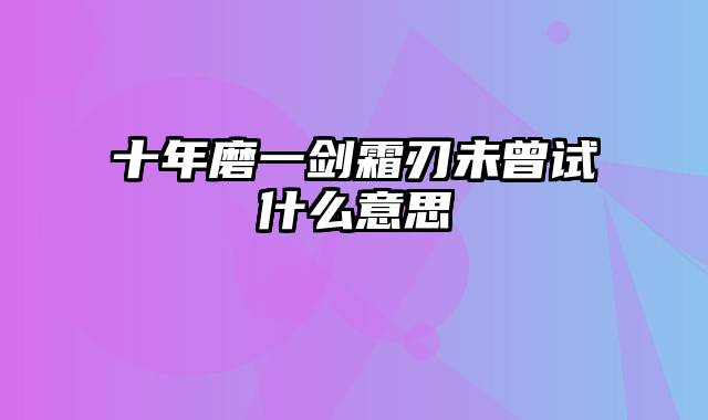 十年磨一剑霜刃未曾试什么意思