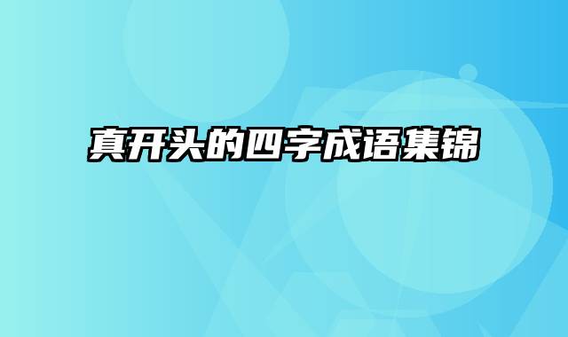 真开头的四字成语集锦