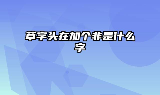 草字头在加个非是什么字