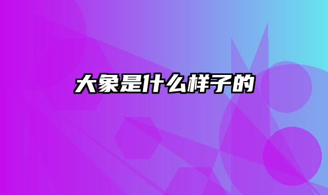 大象是什么样子的