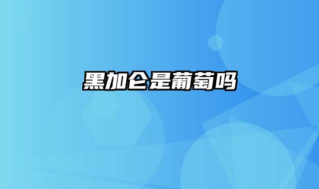 黑加仑是葡萄吗