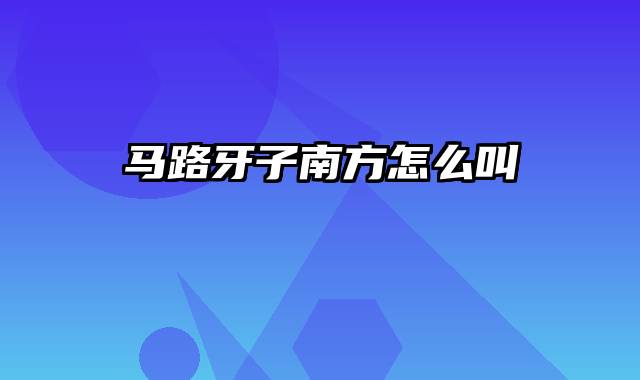 马路牙子南方怎么叫