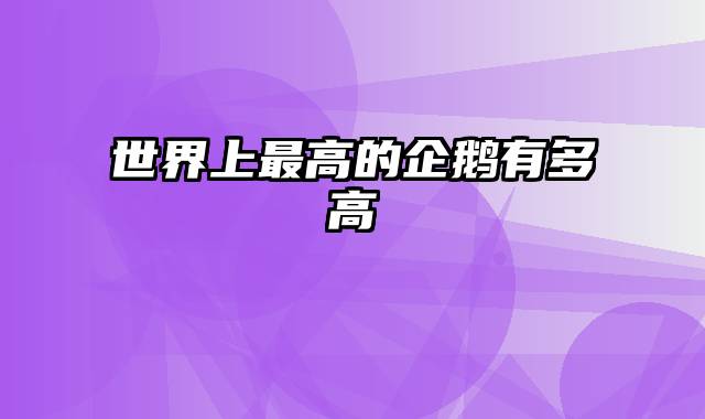 世界上最高的企鹅有多高