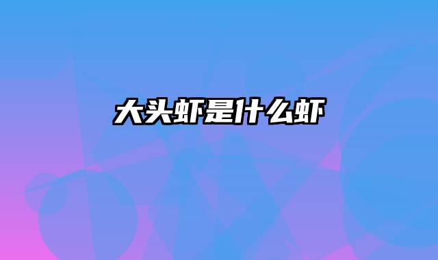 大头虾是什么虾