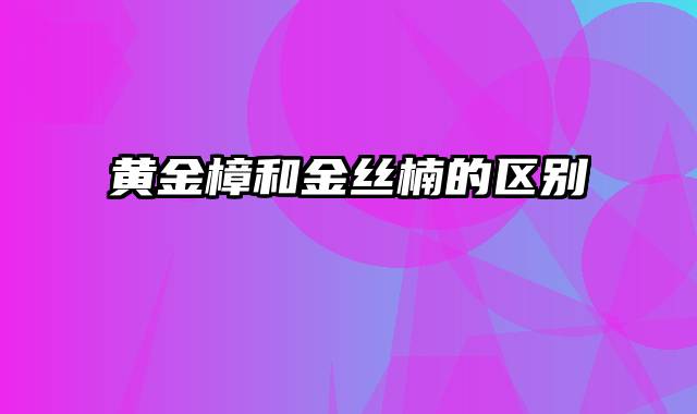 黄金樟和金丝楠的区别