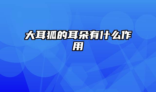 大耳狐的耳朵有什么作用