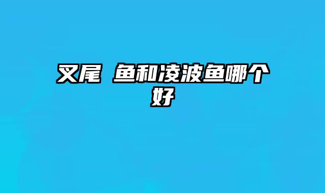 叉尾鮰鱼和凌波鱼哪个好