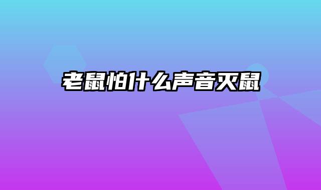 老鼠怕什么声音灭鼠