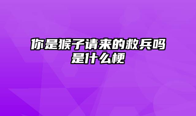 你是猴子请来的救兵吗是什么梗