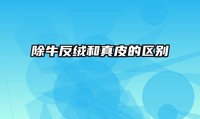 除牛反绒和真皮的区别