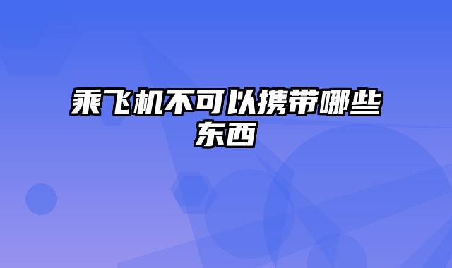 乘飞机不可以携带哪些东西