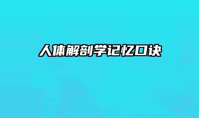 人体解剖学记忆口诀