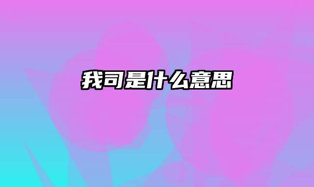 我司是什么意思