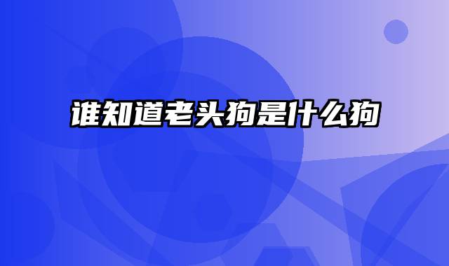 谁知道老头狗是什么狗