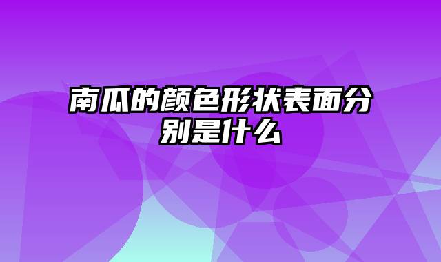 南瓜的颜色形状表面分别是什么