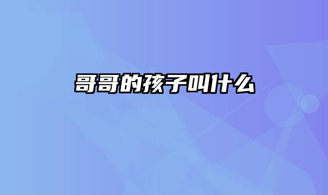 哥哥的孩子叫什么