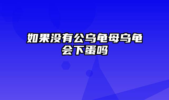 如果没有公乌龟母乌龟会下蛋吗