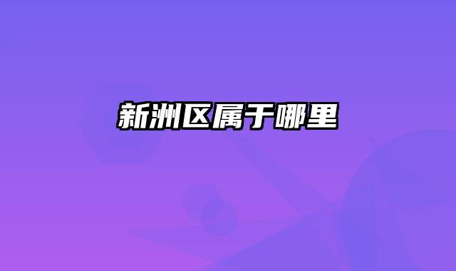 新洲区属于哪里