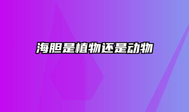海胆是植物还是动物